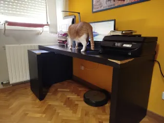 Escritorio IKEA MALM negro con tablero extraíble