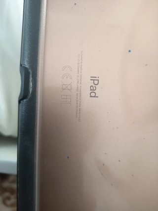 Apple iPad Blanco