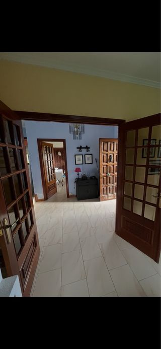 Puerta madera y cristal sala/cocina