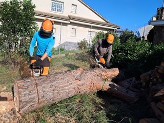 Jardinero y forestal desbroce llamame 641279735