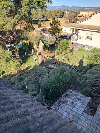Jardinero y forestal desbroce llamame 641279735