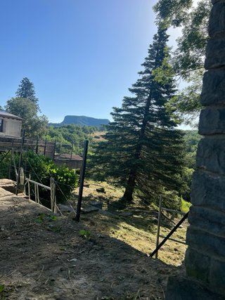 Profiseonal  talar podar Cortar arboles desborozar