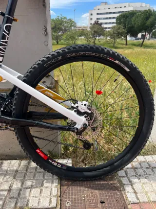 Specialized Camber Comp