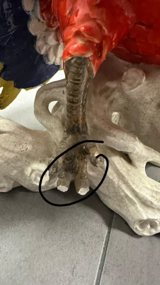 Loro de porcelana decorativo