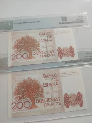 Billetes PMG