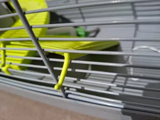 Jaula Hámster/Cobaya Gris y Verde