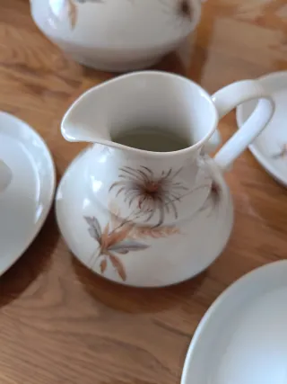 Juego de café de porcelana floral