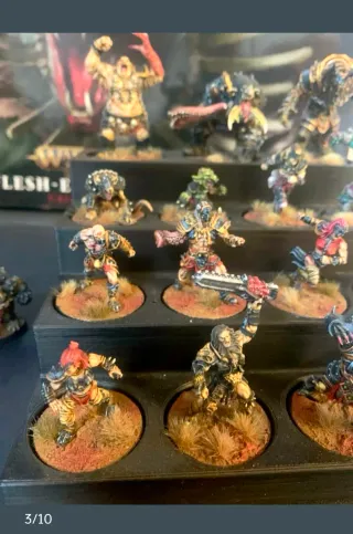 Equipo Blood Bowl Renegados del Caos