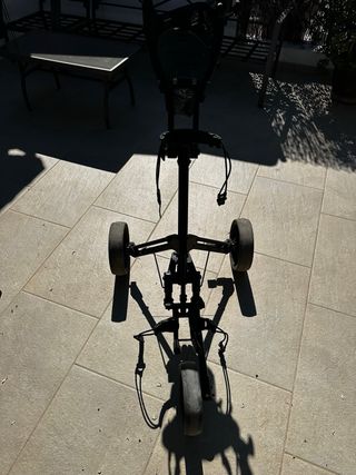 Carro de golf Inesis