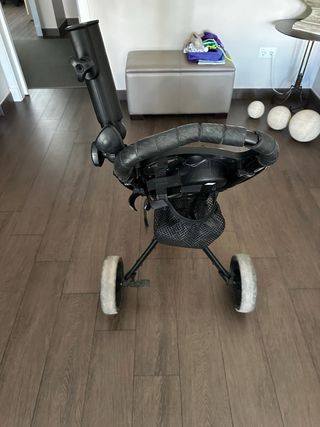 Carro de golf Inesis