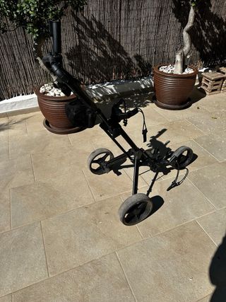 Carro de golf Inesis