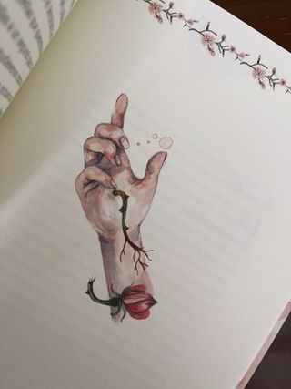 El despertar de las musas: Ilustrado por Marta ...