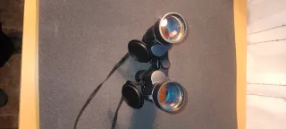 Prismáticos