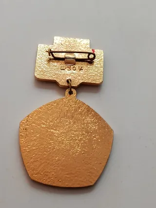 Lote Guerra Fría URSS: Medalla Lenin y estrella