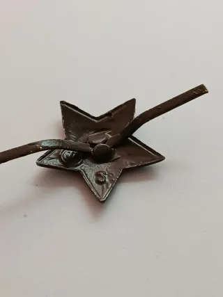 Lote Guerra Fría URSS: Medalla Lenin y estrella