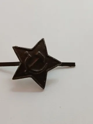 Lote Guerra Fría URSS: Medalla Lenin y estrella