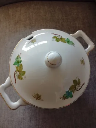 Vajilla de porcelana con hojas verdes