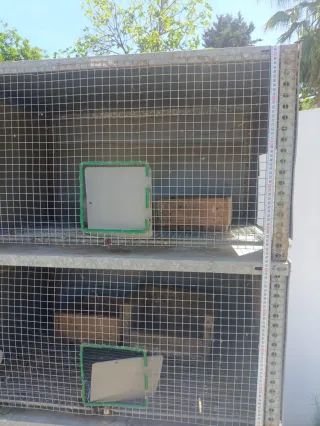 Jaula para palomas o pájaros