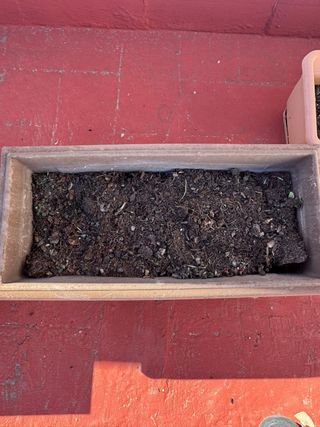 5 jardineras marrones con tierra