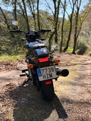 Harley Davidson Street 750