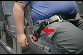 Alargador cinturón seguridad coche