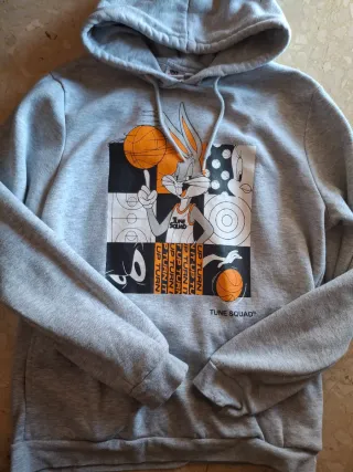 Sudadera Looney Tunes Gris