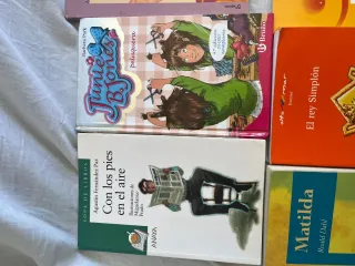 Lote de libros infantiles