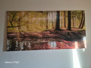 Stampa XXL Foresta 140x70