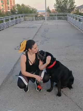 CUIDADORA GATUNA Y PERRUNA
