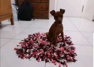 CUIDADORA GATUNA Y PERRUNA