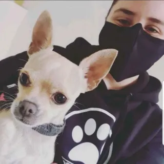 CUIDADORA GATUNA Y PERRUNA