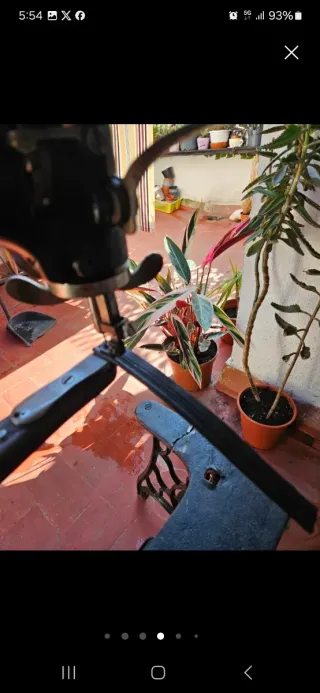 Máquina de zapatería Singer antigua 29K1