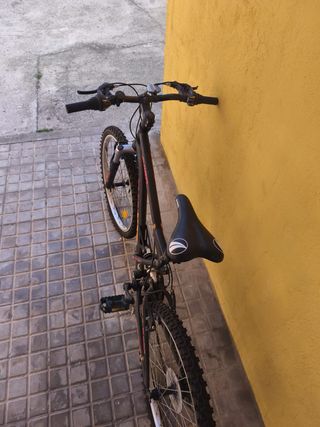 Bicicleta Montaña Infantil  Avigo Kilauea 20”