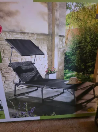 Pack 2 Tumbonas Livarno Home Aluminio Gris