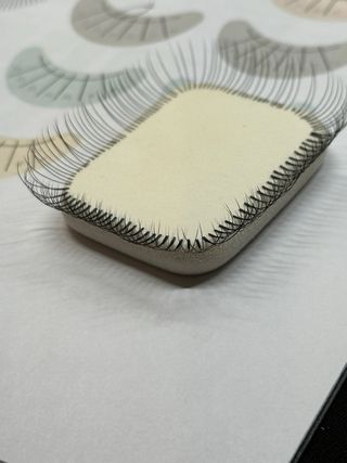 Curso de extensiones de pestañas de DOS SEMANAS!!!