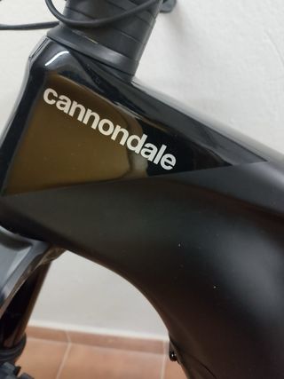 Bicicleta eléctrica Cannondale Moterra LT