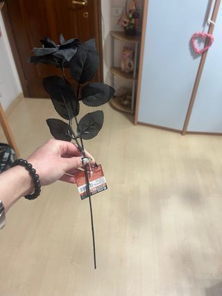 Rosa nera con teschio nuova