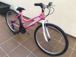 Bicicleta rosa JL-WENTI Lady