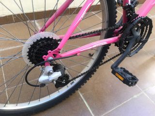 Bicicleta rosa JL-WENTI Lady