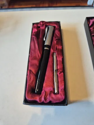 Collezione di penne stilografiche