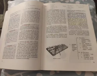 Música y sociedad - Historia de la Música