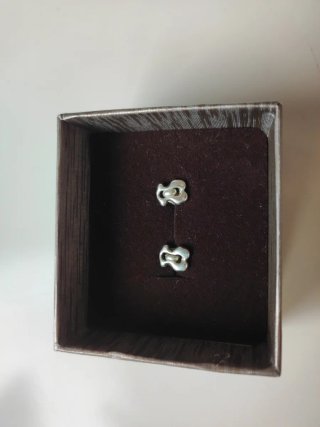 Pendientes Plata Tous