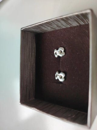 Pendientes Plata Tous