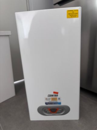 Termo eléctrico
