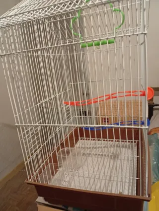 Jaula ninfa con accesorios