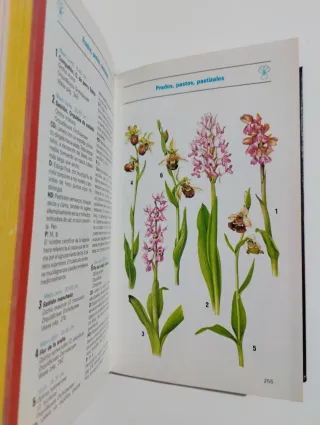 3 Libros flora y fauna Española