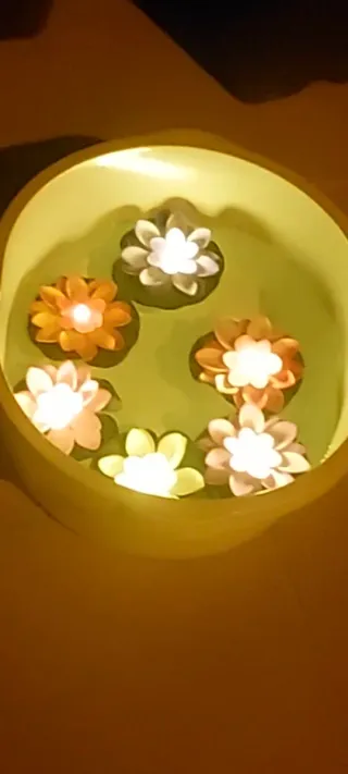 2 Fiori LED Galleggianti Rosa e Bianchi