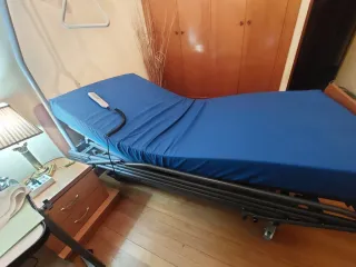Cama articulada con carro elevador y trapecio