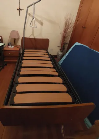 Cama articulada con carro elevador y trapecio