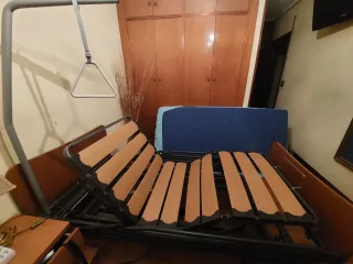 Cama articulada con carro elevador y trapecio